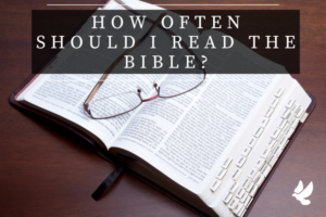 How Often Should I Read The Bible