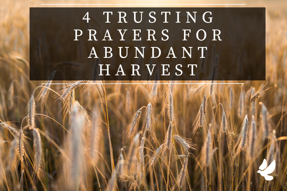 Prayers For Abundant Harvest