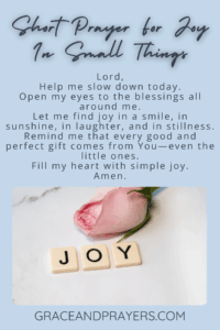 a brief prayer for joy in small things pin