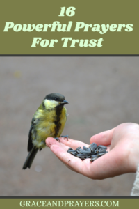 16 prayers for trust pin
